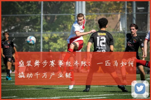 盛装舞步赛事经济账：一匹马如何撬动千万产业链