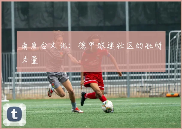 南看台文化：德甲球迷社区的独特力量