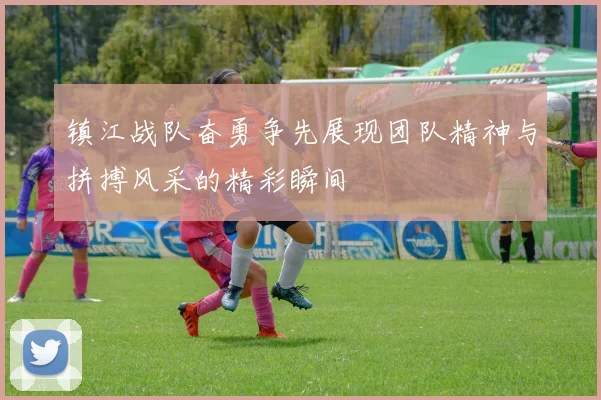 镇江战队奋勇争先展现团队精神与拼搏风采的精彩瞬间