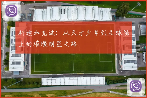 科迪加克波：从天才少年到足球场上的璀璨明星之路
