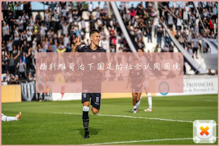 扬科维奇治下国足的社会认同困境