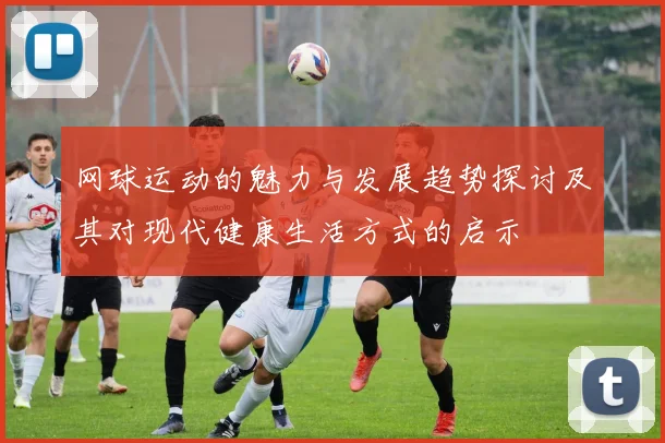 网球运动的魅力与发展趋势探讨及其对现代健康生活方式的启示