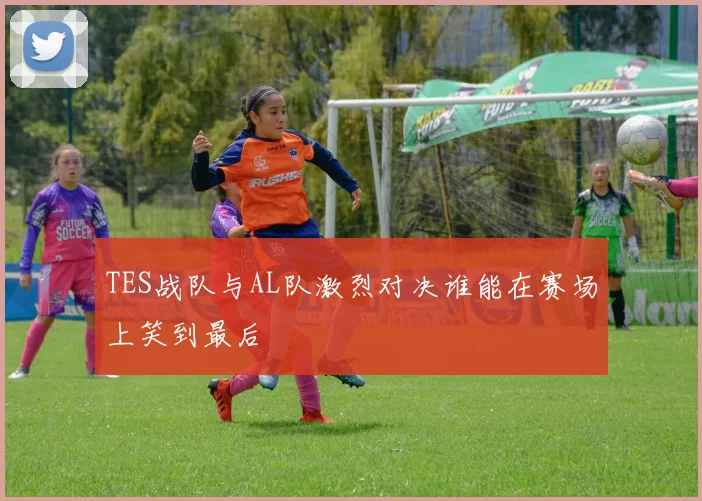 TES战队与AL队激烈对决谁能在赛场上笑到最后