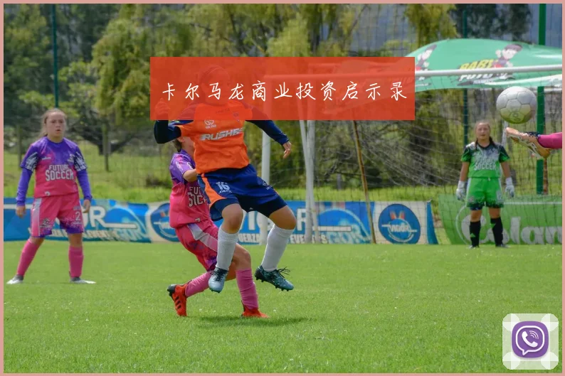 卡尔马龙商业投资启示录