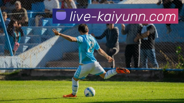 开云APP 高清赛事图